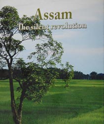 Silent Revolution